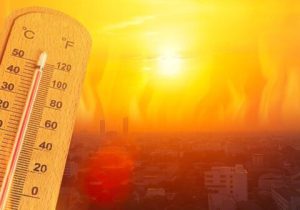ماندگاری هوای گرم تا پایان هفته در فارس