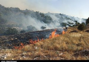 ارتفاعات دراک شیراز همچنان می‌سوزد 