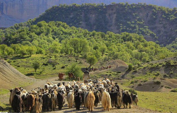 عشایر استان فارس کوچ خود را حداقل به مدت یک هفته به تعویق اندازند