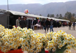 از بازدید ۵۰ هزار گردشگر تا پیش بینی فروش بیش از ۵۰ میلیارد ریال