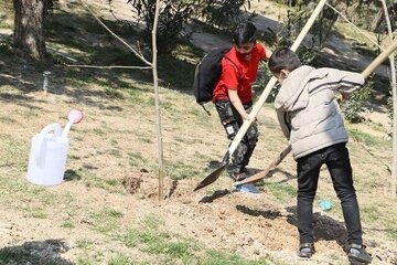 برنامه‌های هفته منابع طبیعی درفارس تشریح شد