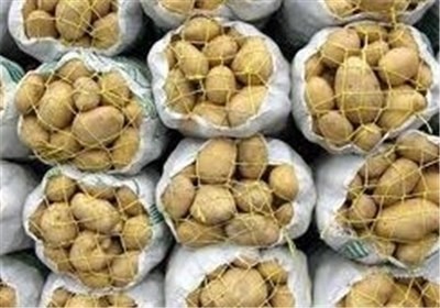 توزیع بیش از ۵۵ تن سیب‌زمینی ذخیره‌ای در فارس